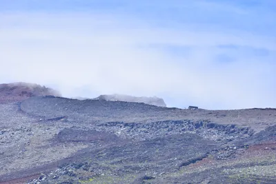 DSC_3650 (Large).JPG